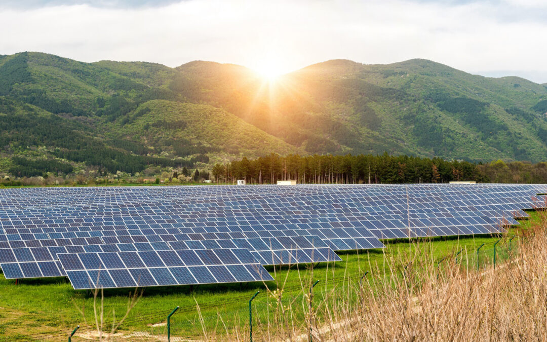 Enfinity Global e Nova Aeg firmano un corporate PPA per 7,8 MW di energia fotovoltaica in Italia