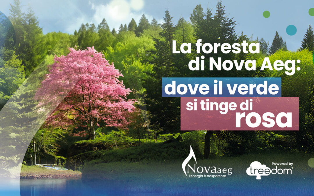 Nova Aeg e Treedom: radici che uniscono parità di genere e sostenibilità